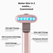 5-IN-1 DERMAL FACIAL WAND